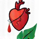 Diet Therapy for Chronic Diseases